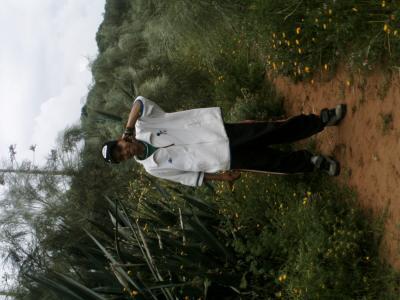 moi ismail
